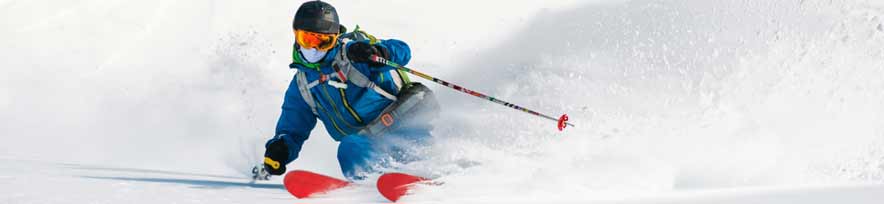 Pelican Shops Ski Bindings Selection